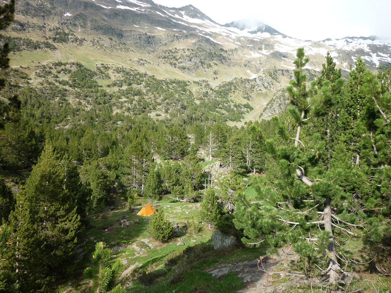 Bivouac