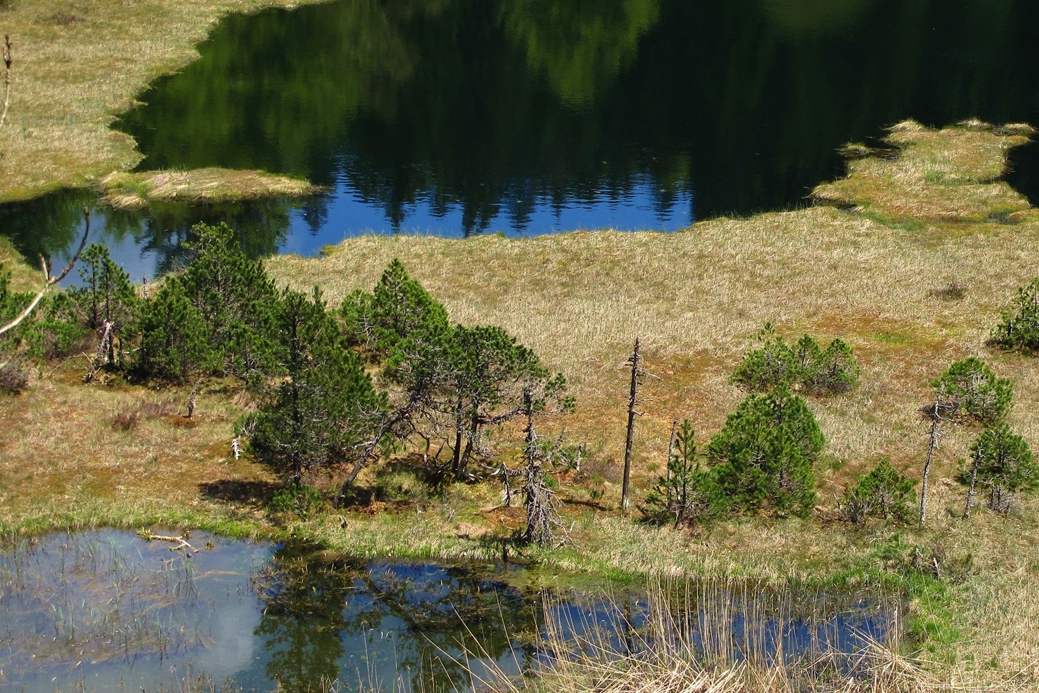 Lac Luitel
