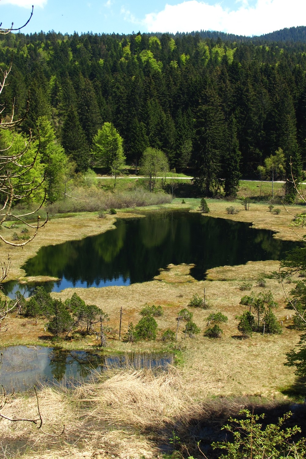 Lac Luitel