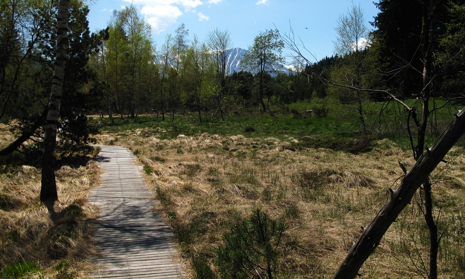 Tourbière au Lac Luitel
