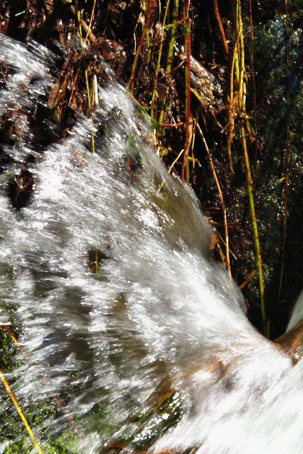 Eau vive