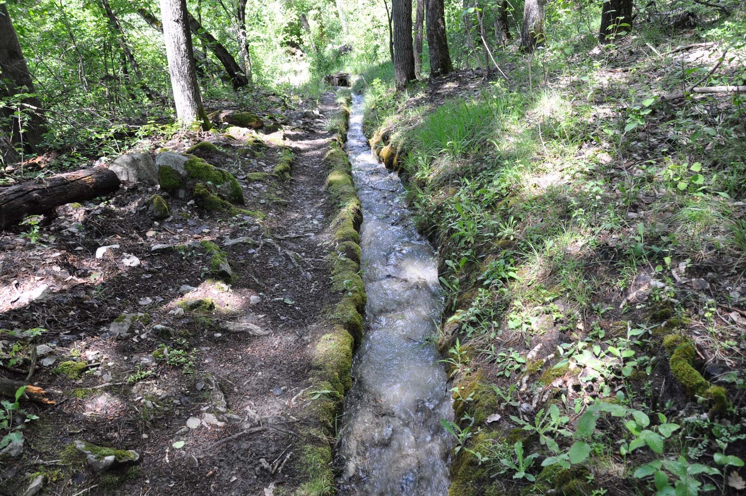 Bisse de Niouc
