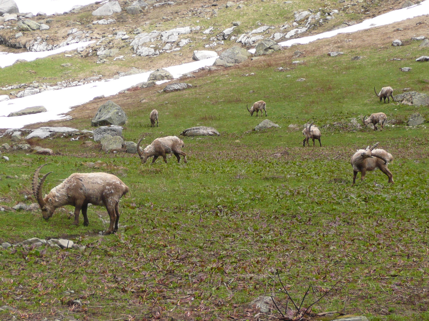 Derrière les chalets