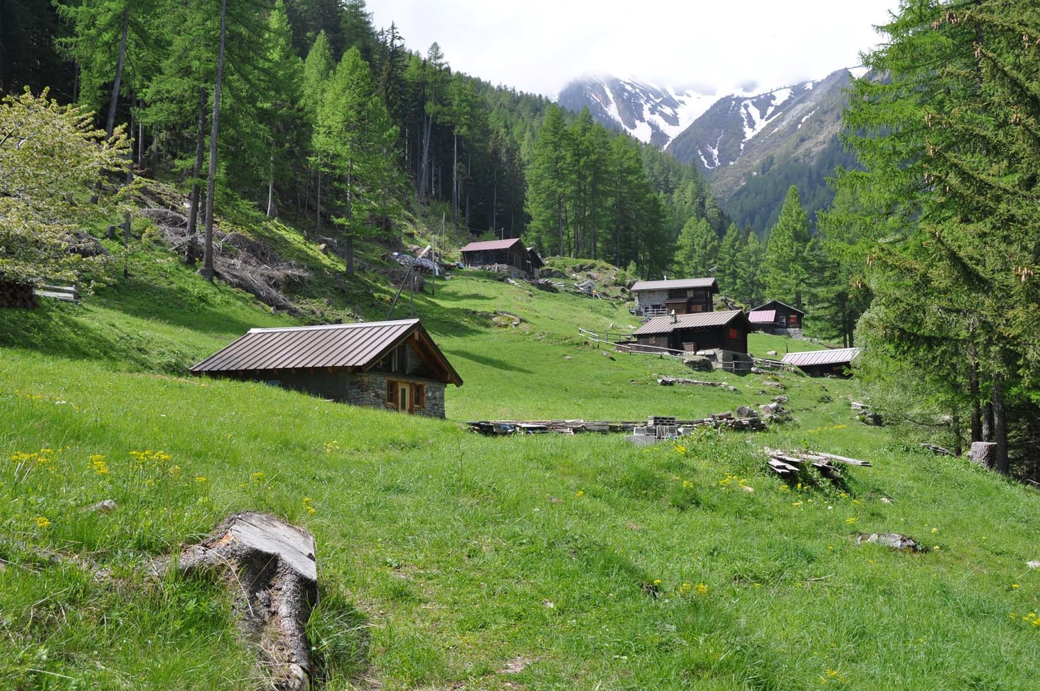 Unners-Nesseltal