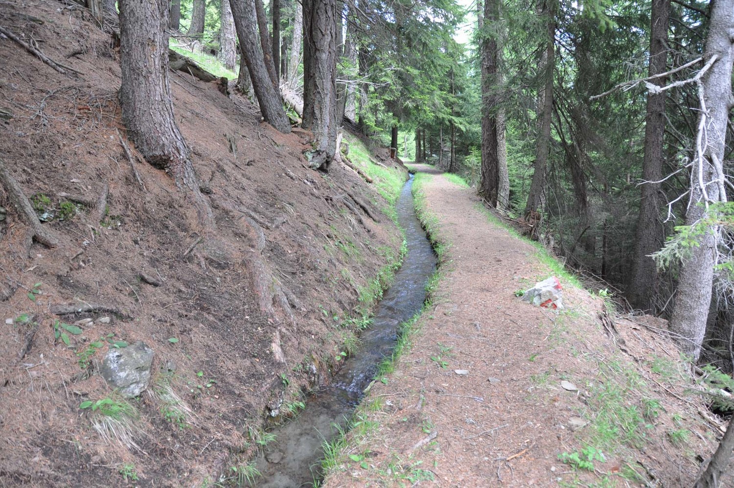 Bisse de Bargeri