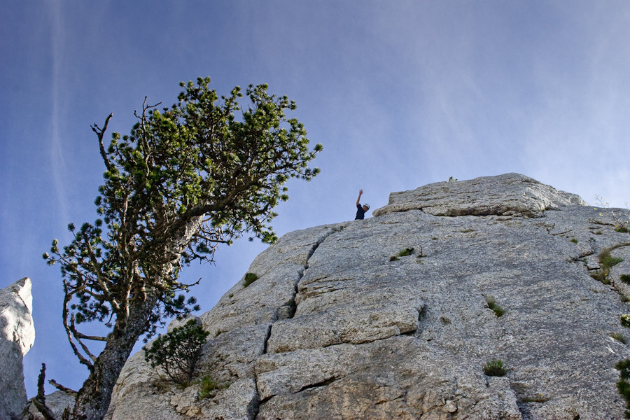la sortie en haut