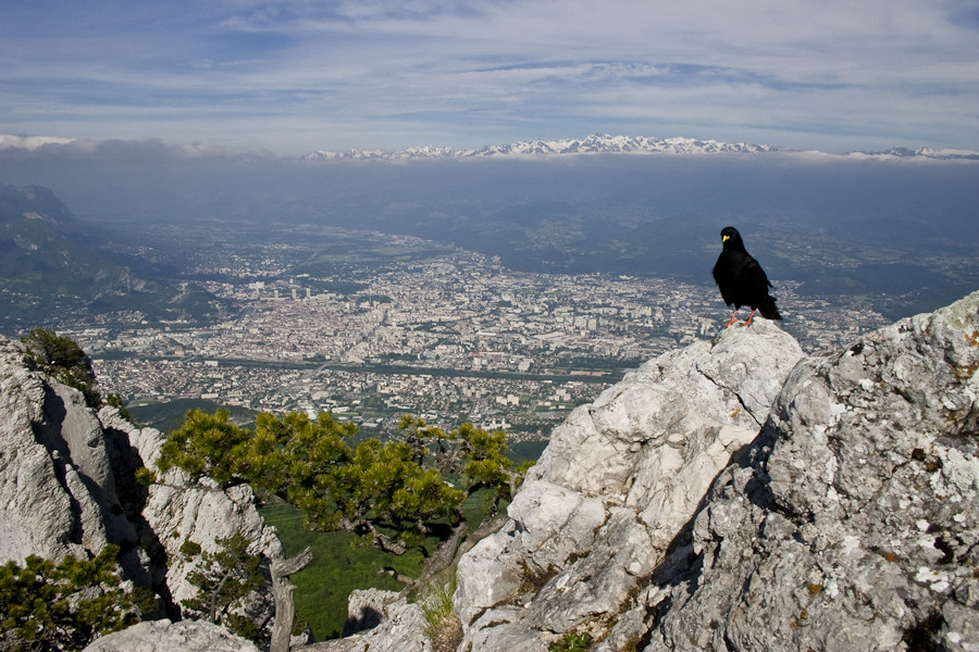 panorama