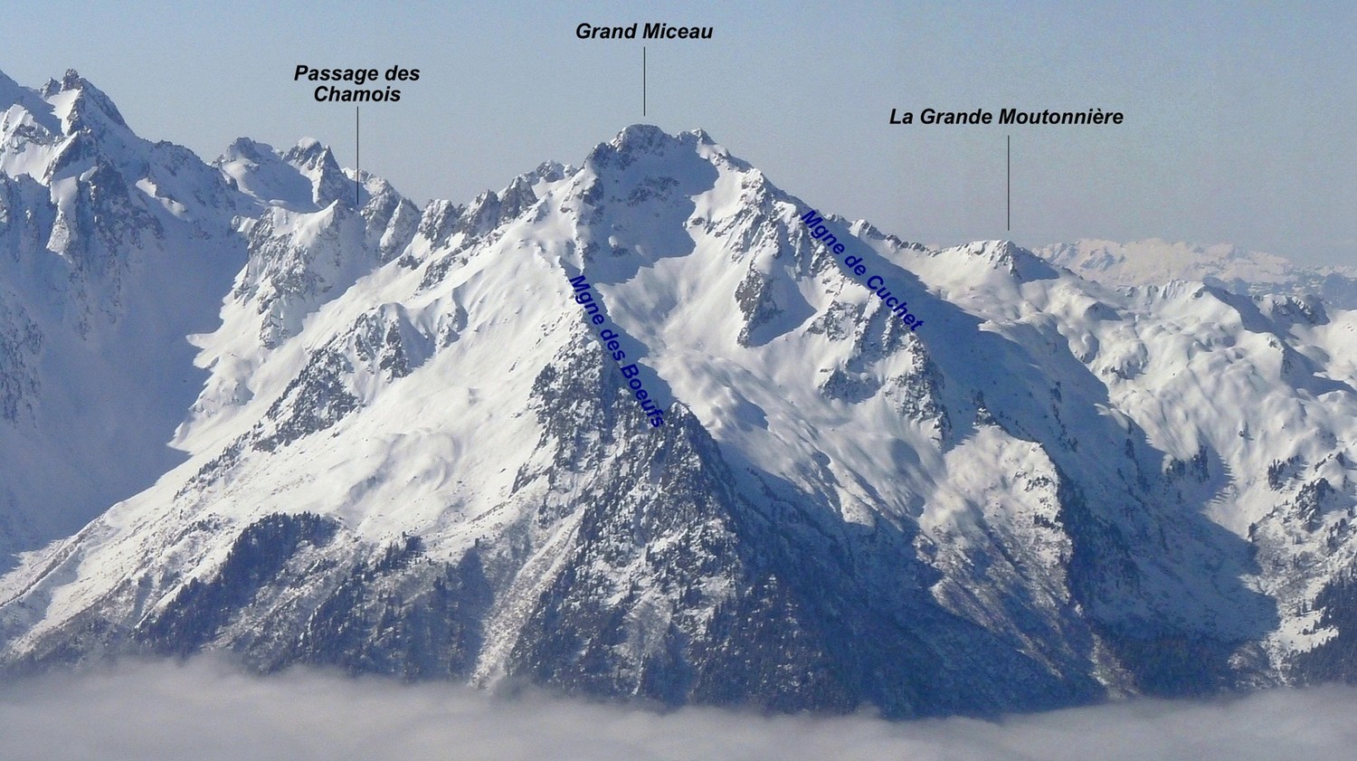 Le Grand Miceau