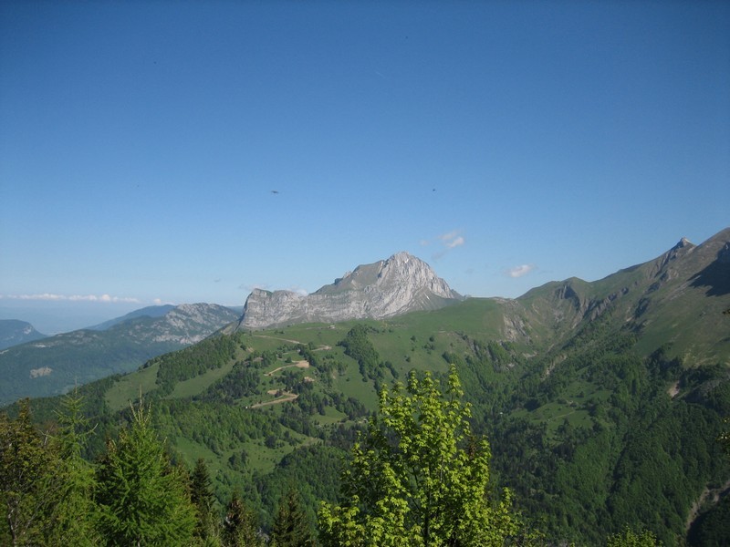 Trélod