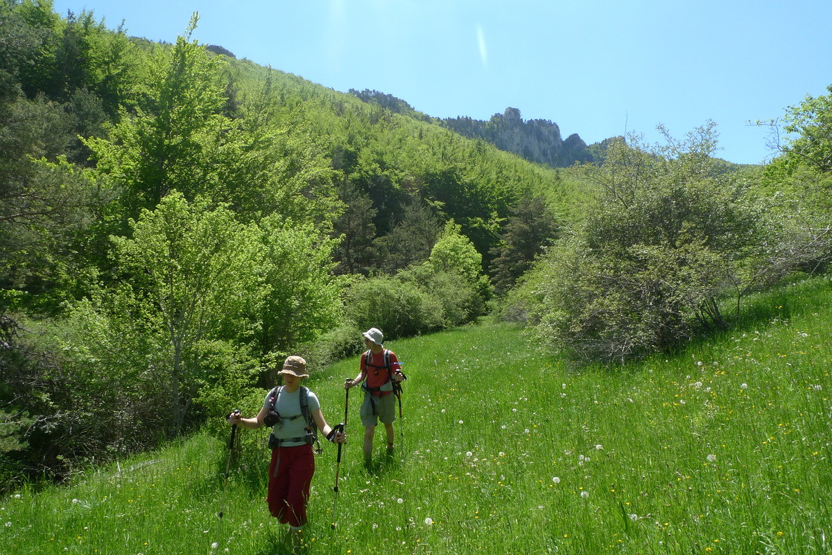 le chemin en amont des gorges de Toussière. que fait la FFRP pour son GR™©® ?