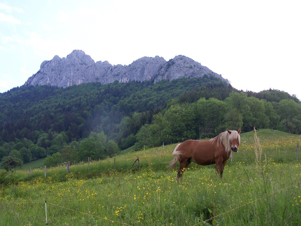 L'arete du roc des boeufs vue dans son ensemble