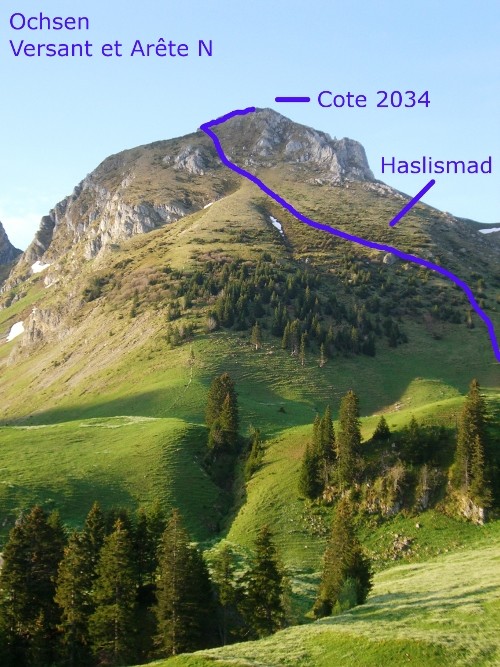 Ochsen, arête N