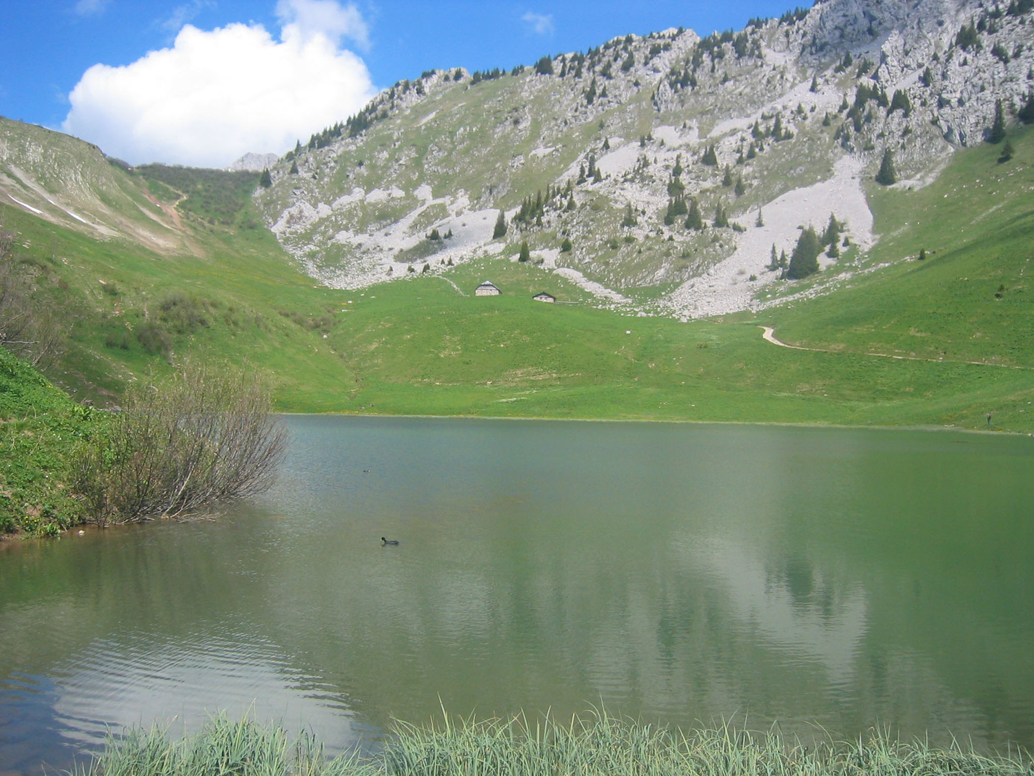 Lac d'Arvouin