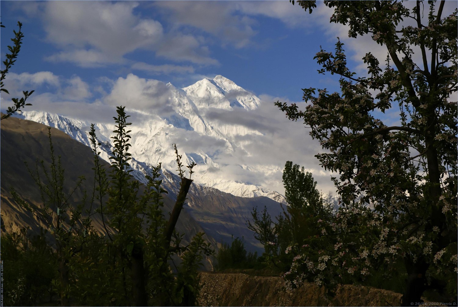 Rakaposhi depuis Karimabad