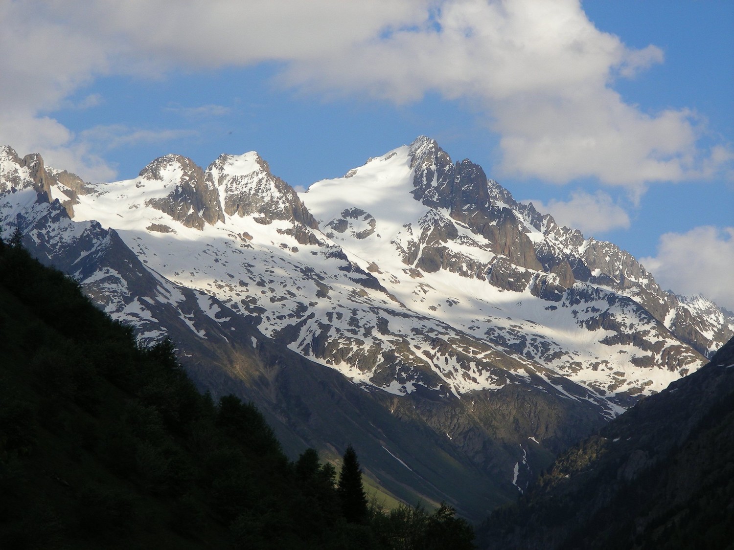 Les fétoules