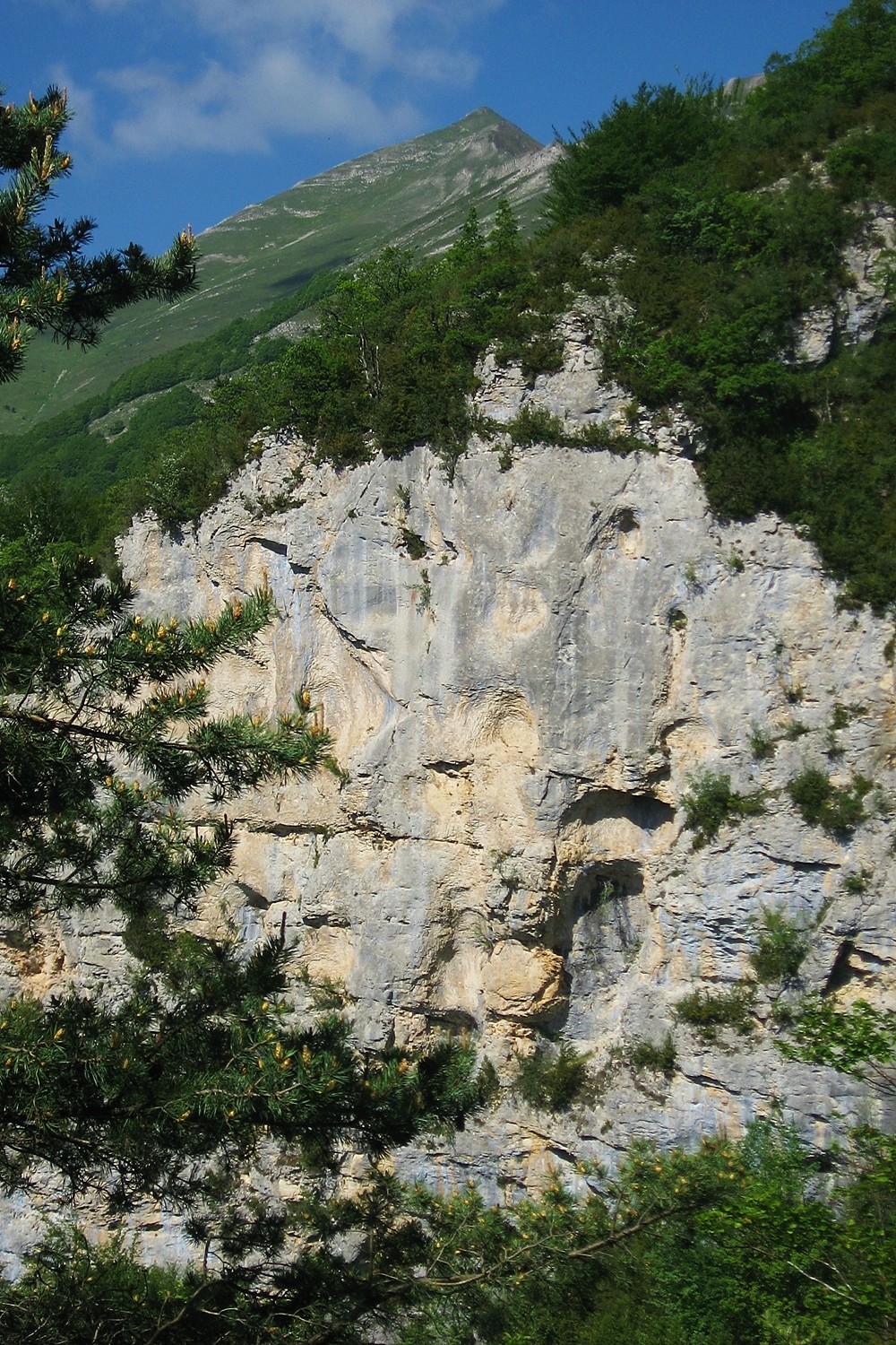 Toussière au fond, Gorges de la Cayre devant