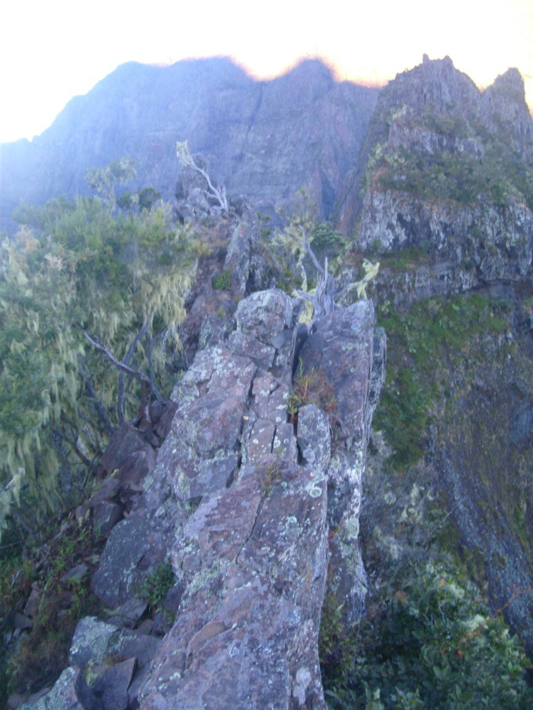 fil crête
