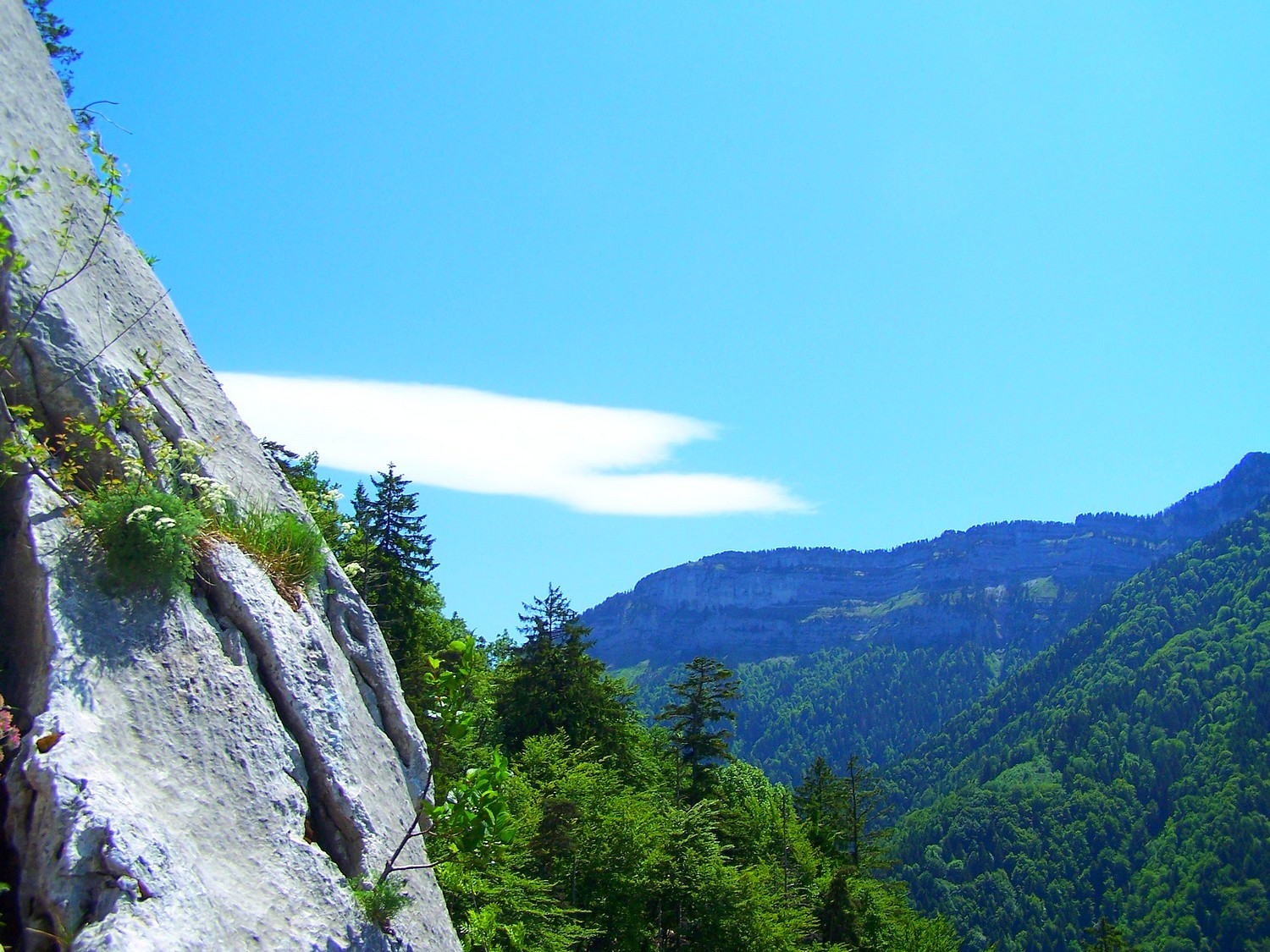 Depuis R3.