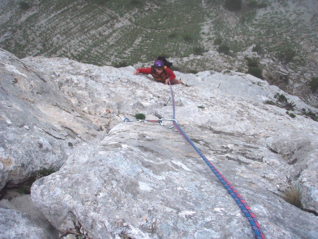 Libellule et Papillon, Nath, L3