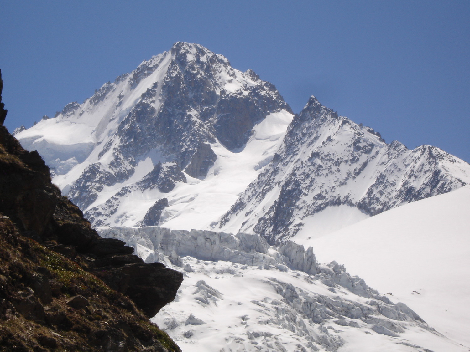 Le Chardonnet depuis le col de Balme