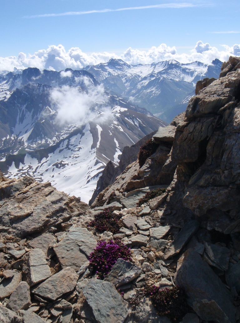 Font Sancte : le printemps à 3370m - Au fond le Bric Rubren 3340m