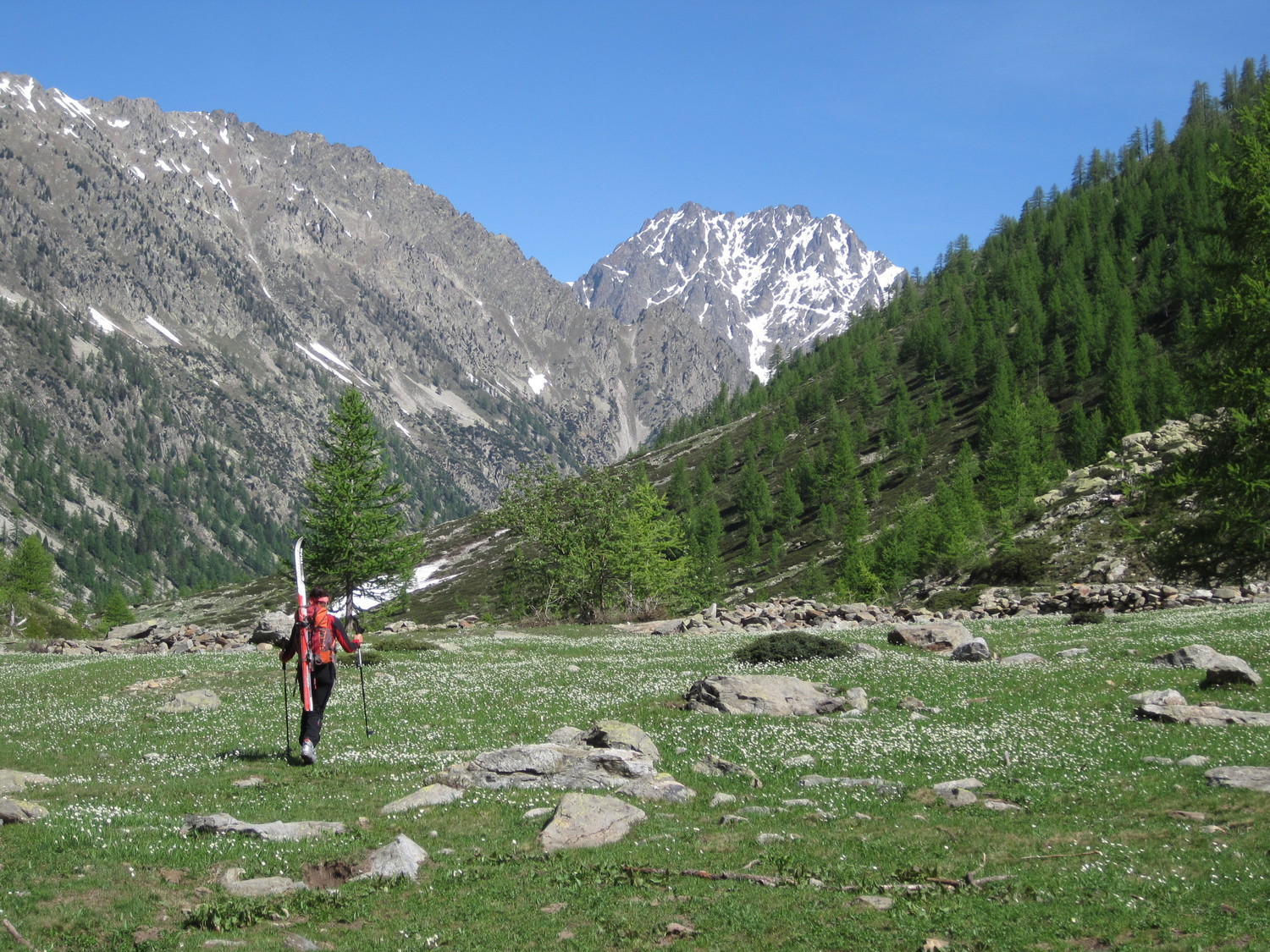 Al Pian della Casa, in fondo il Monte Matto