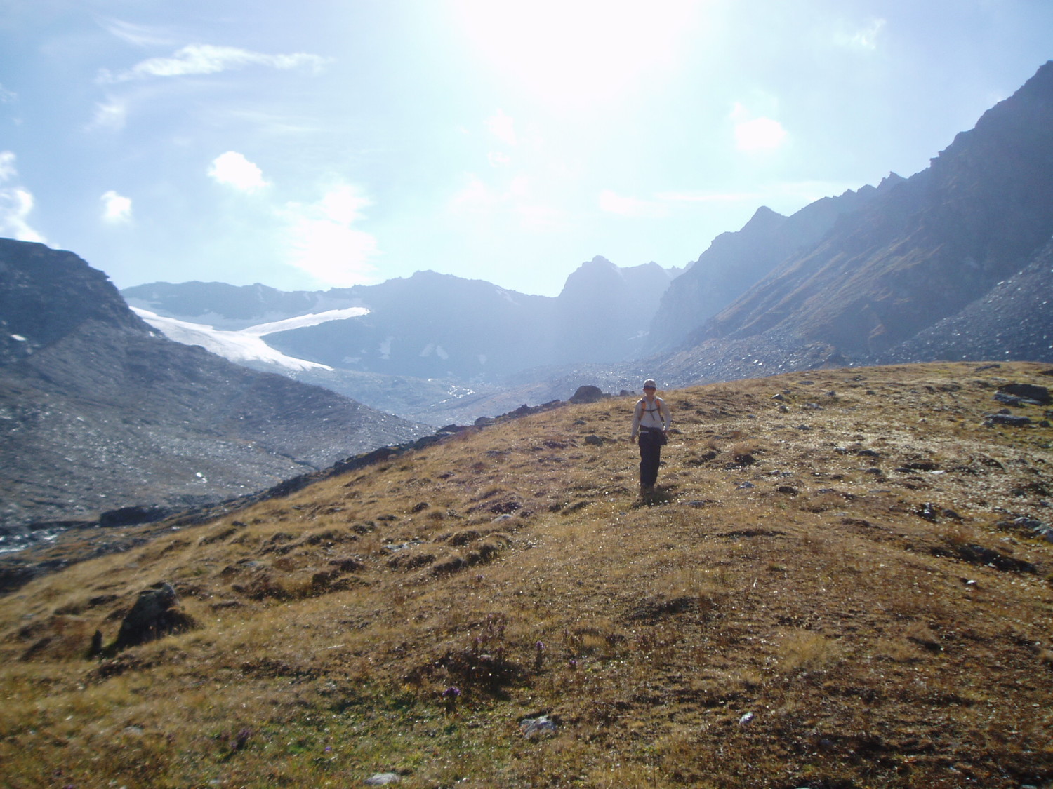 vallon avec le glacier des ecoulaies
