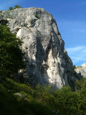 saussois