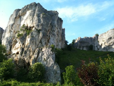 saussois