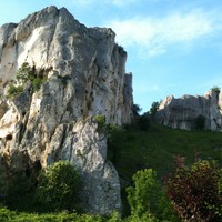 saussois