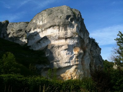 saussois