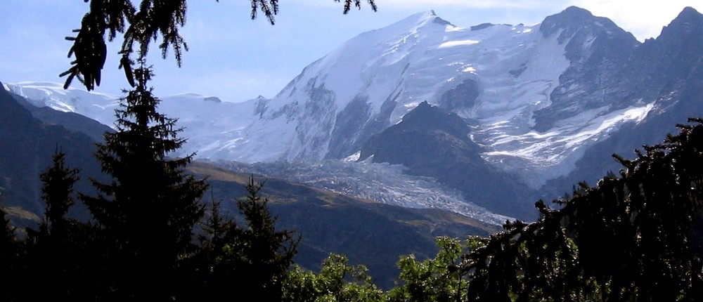 La partie médiane