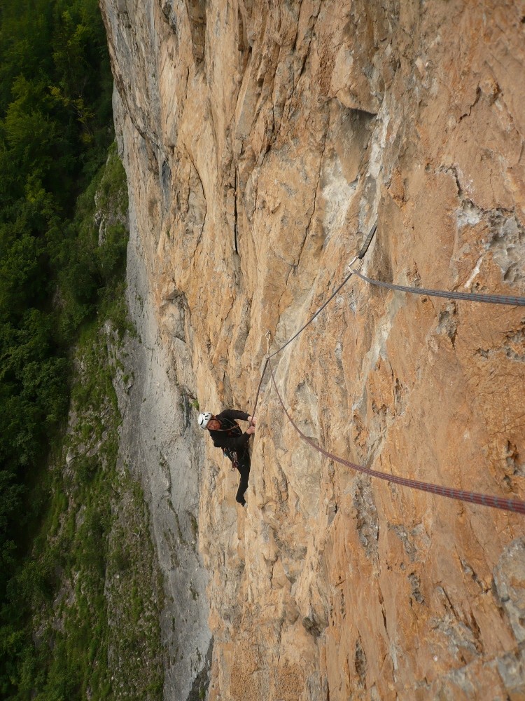 Indiana Jaune, L3