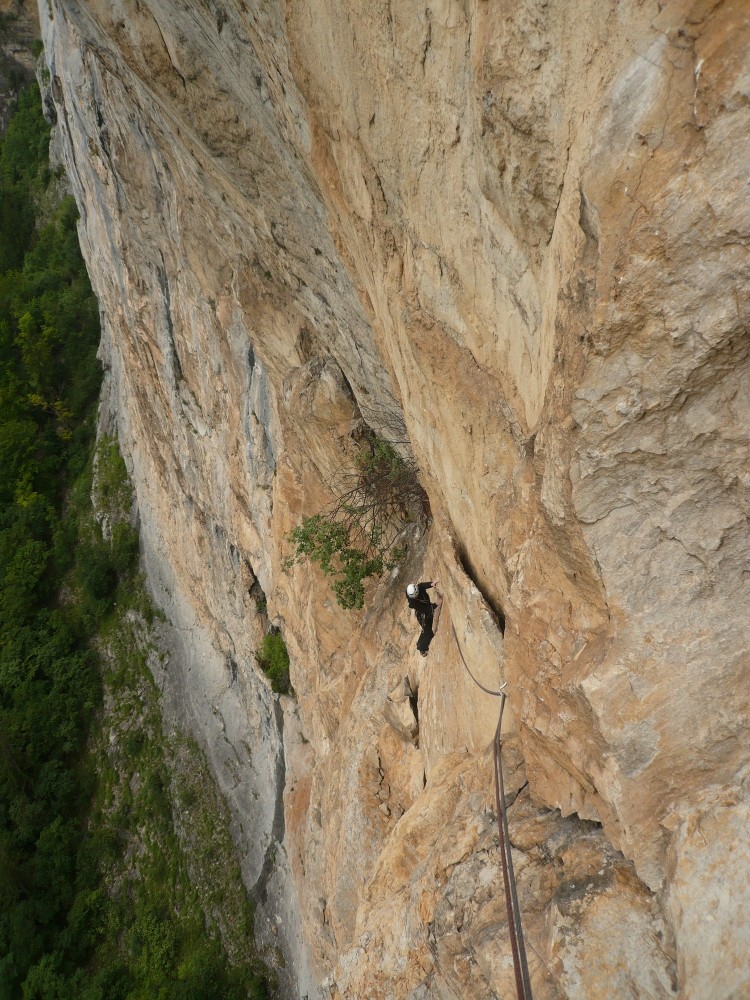 Indiana Jaune, L5