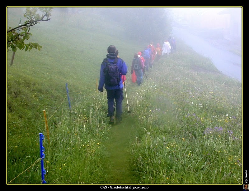 Prairies dans le brouillard