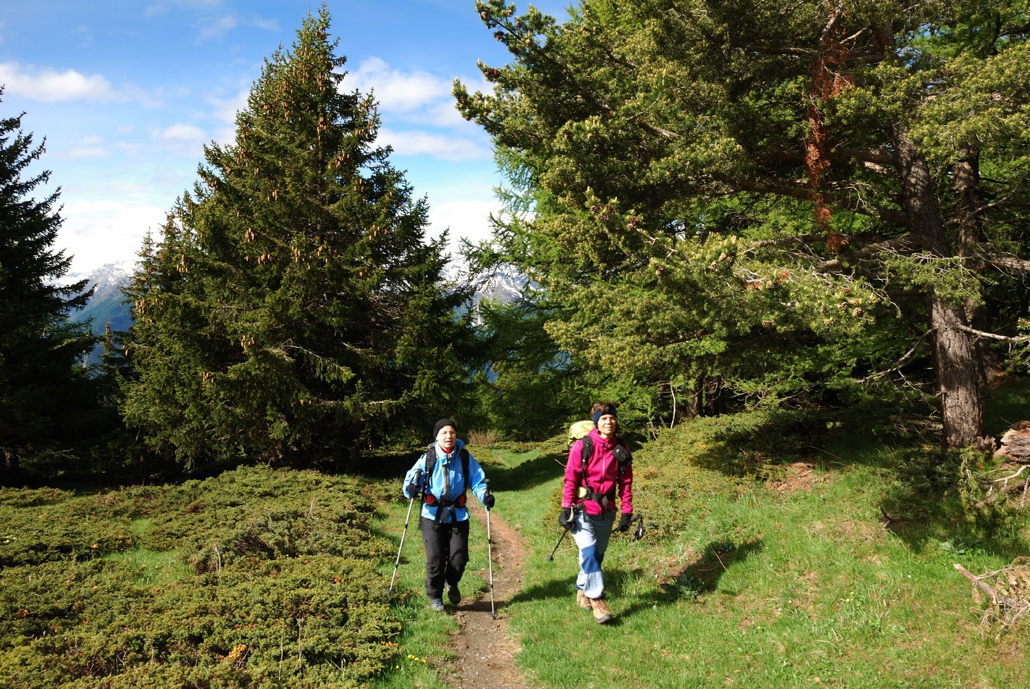 Montée au Lac du Fallère