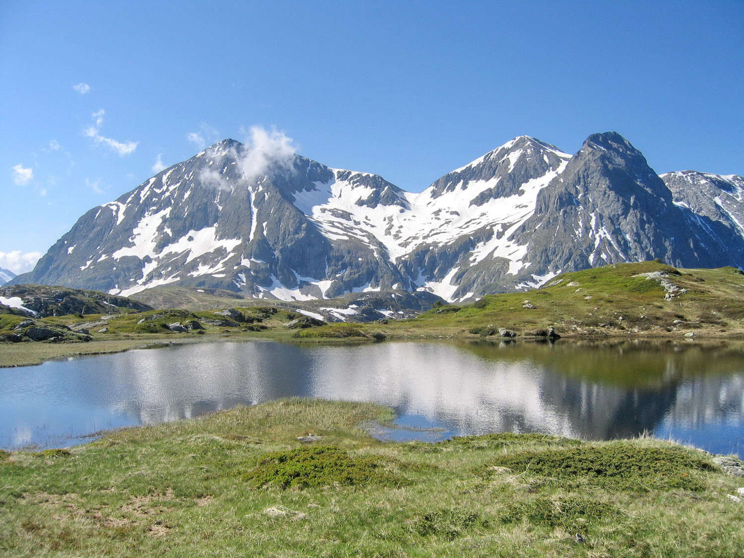 le taillefert