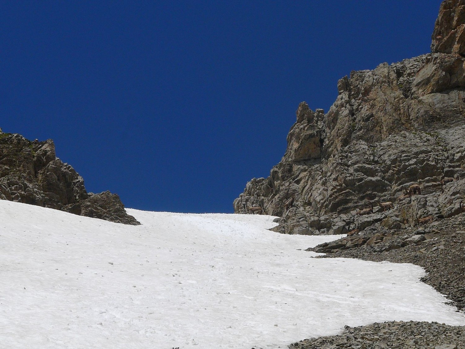 Descente du col de la Forclaz-Névé supérieur