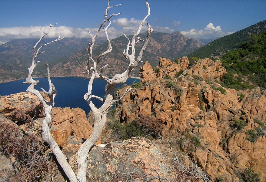 Calanque de Piana