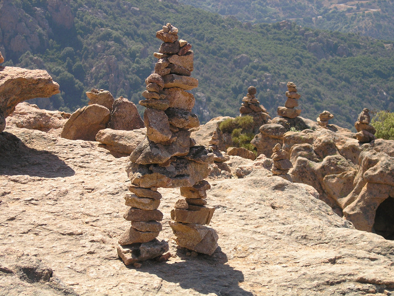 Pépinière de cairns