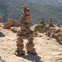 Pépinière de cairns       