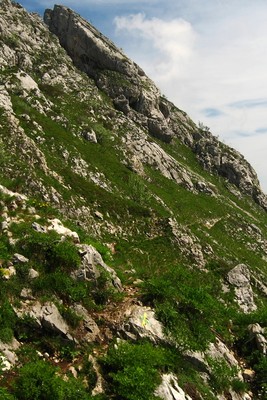 du Col Vert, aller au-delà de la croix jaune et verte pour rejoindre le 'balcon E" du Col Vert, aller au-delà de la croix jaune et verte pour rejoindre le 'balcon E"