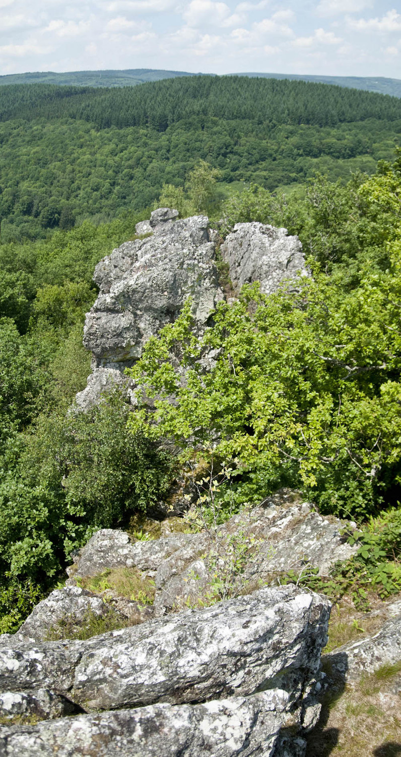 Roches de Velée
