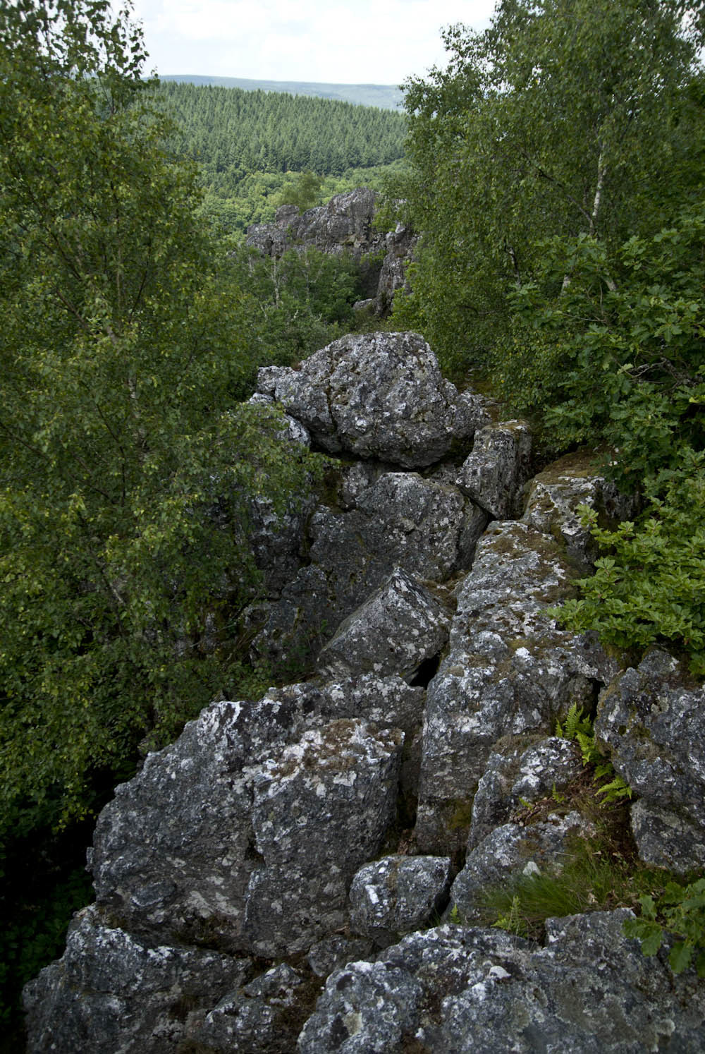 Roches de Velée