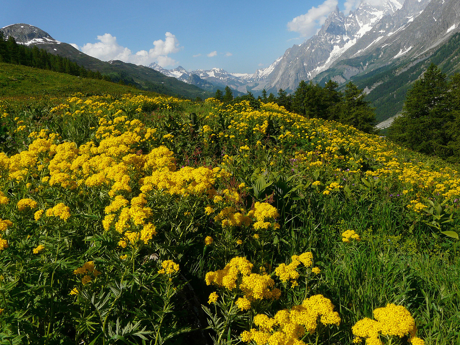 Alpage de Malatra et le val Veni en fond