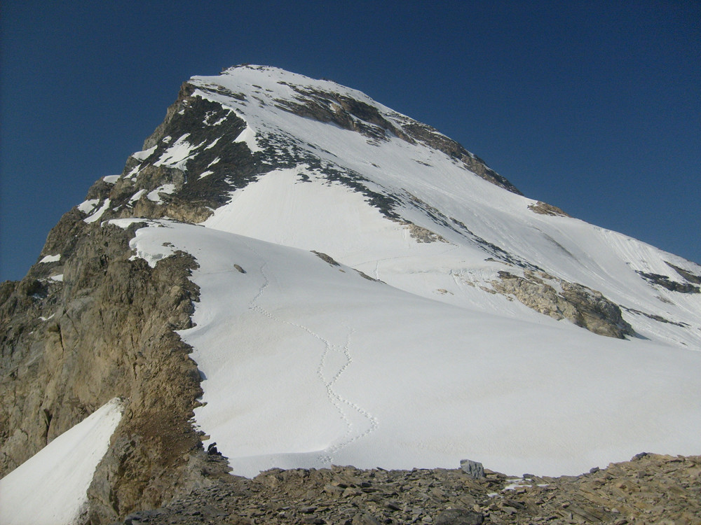 La vue plus profilée depuis le col de la Tsanteleina