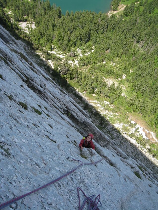 Variante à Pétiole, L3