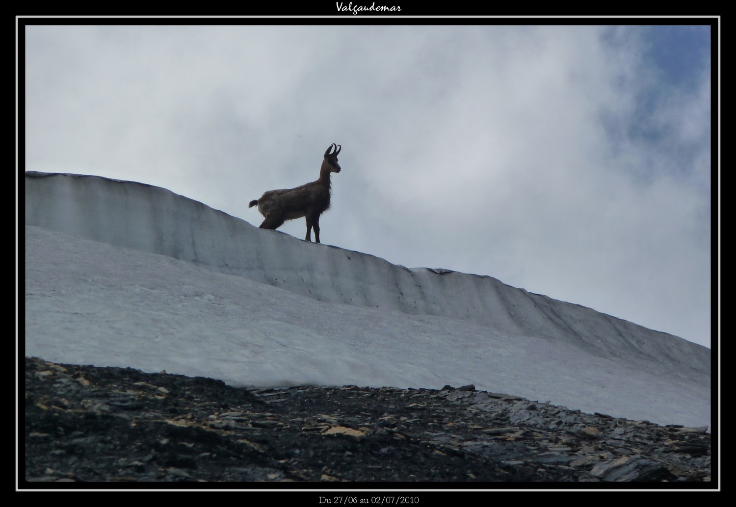 Rencontre au Col de Vallonpierre