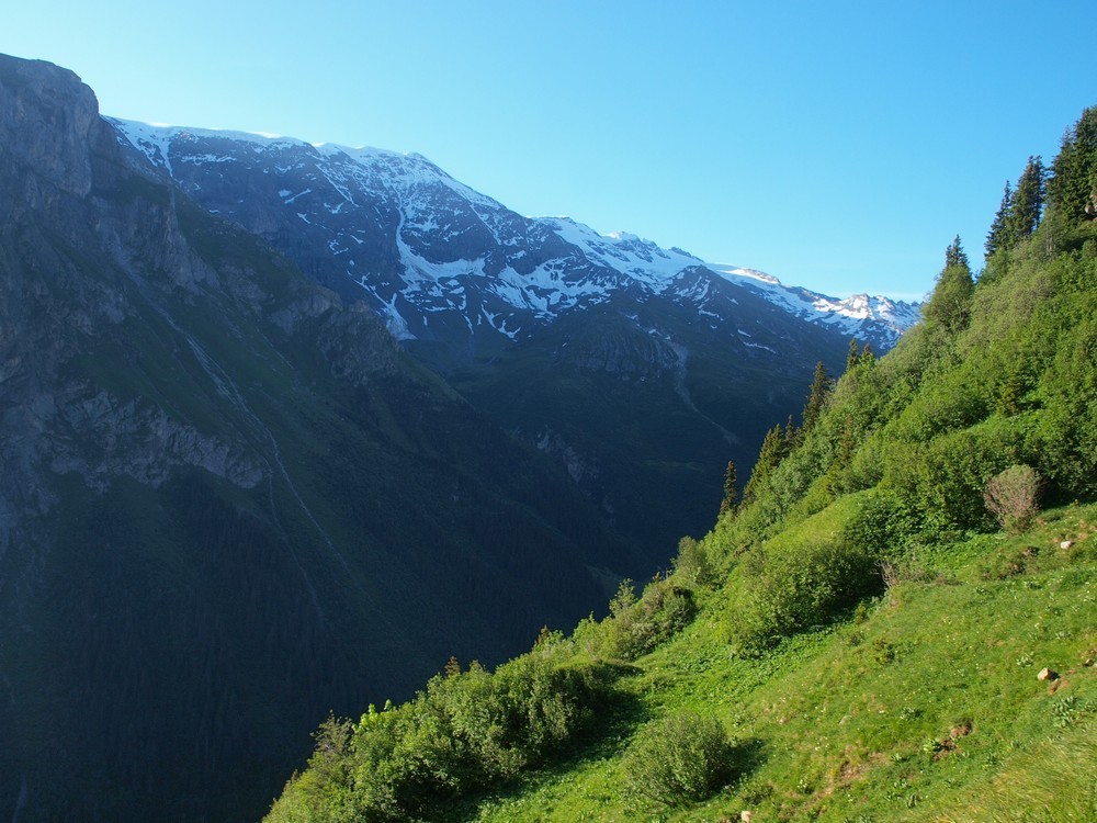 montée dans les alpages