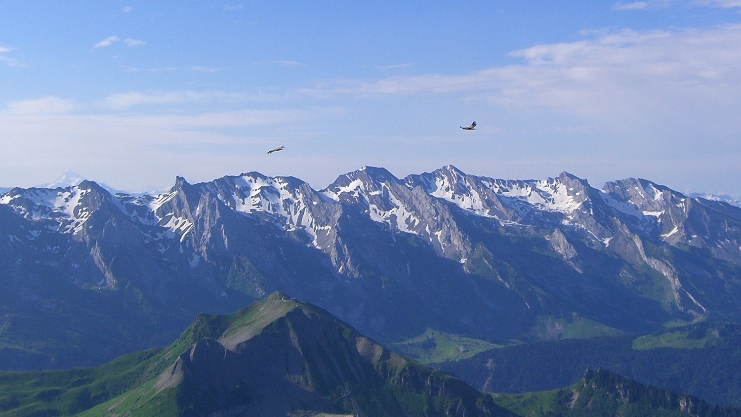 Jalouvre/Bargy-chaine des Aravis et vautours